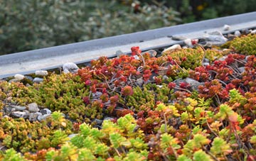 the cost of Aylesbury green roof installation