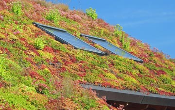 Aylesbury living roof systems